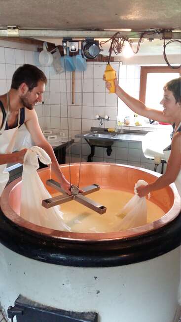 Two men in white aprons are working with a large vat of cheese curds in a kitchen, using a tool to separate the curds from the whey.