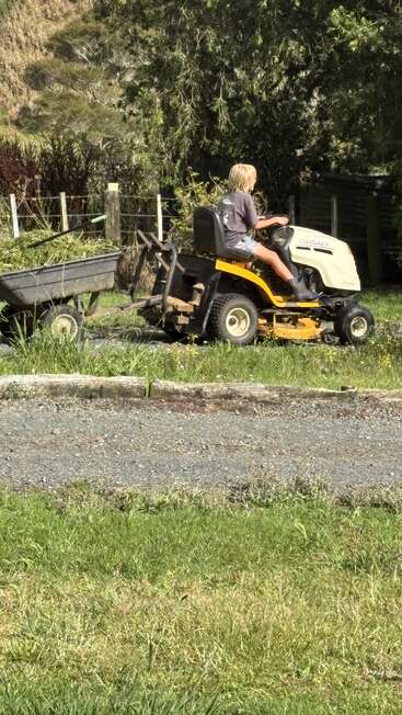 A person is riding a yellow and white Cub Cadet lawn tractor, pulling a small trailer filled with grass clippings through a green, outdoor garden setting.