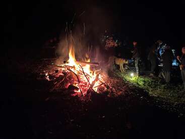 A group of people gathers around a large bonfire at night. Warm flames illuminate faces, while a dog stands nearby. Lively, cozy outdoor gathering atmosphere.