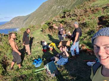 A group of friends and dogs relax on a grassy hillside with mountains and the sea in the background, enjoying a sunny outdoor adventure together.