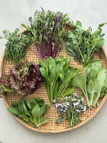 In einem runden, geflochtenen Korb liegt eine bunte Auswahl an frischem Blattgemüse, darunter Salat, Mizuna, Bok Choy, Rucola und essbare Blüten, wunderschön angerichtet.