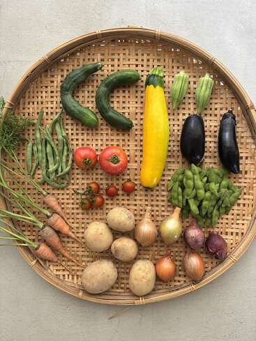 In einem geflochtenen Korb präsentiert sich eine Auswahl an frischem Gemüse, darunter Gurken, Karotten, Tomaten, Bohnen, Okra, Zucchini, Auberginen, Zwiebeln, Kartoffeln und Edamame.
