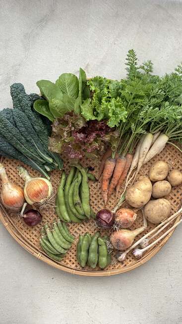 A bamboo tray filled with assorted fresh vegetables: kale, lettuce, carrots, radishes, potatoes, onions, green beans, peas, garlic, and leafy greens, all beautifully arranged.
