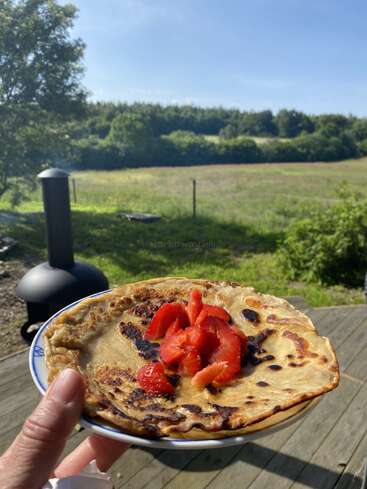 A hand holds a plate with a golden pancake topped with fresh strawberries, set against a sunny outdoor backdrop of green fields, trees, and blue sky.