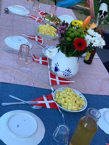 A festive outdoor table is set with Danish flags, flowers, cut fruits, salad, drinks, and plates, creating a cheerful atmosphere. A dog is visible nearby.