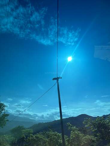 A bird perches on top of an electric pole amid lush green trees, set against a bright blue sky and rolling mountains under the strong sun.