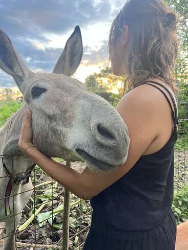 Una mujer de pelo ondulado, vestida con un vestido negro, abraza con cariño a un burro gris junto a una valla, con una preciosa puesta de sol y la vegetación de fondo.