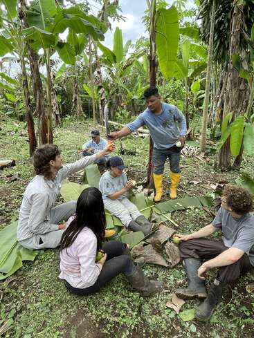 Seis personas están sentadas y descansan entre plataneros en un frondoso bosque, compartiendo fruta y bebidas mientras se sientan sobre grandes hojas, disfrutando juntas de un descanso al aire libre.