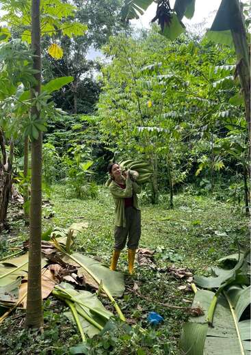 Una mujer con botas amarillas posa sonriente en un frondoso bosque verde, sosteniendo unas grandes hojas de plátano. A su alrededor, el suelo está cubierto de hojas caídas.