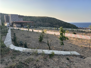 Une maison moderne en pierre est située sur une colline surplombant la mer. De jeunes arbres sont plantés dans un sol sec, avec un chemin sinueux en béton devant.
