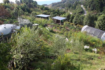 A imagem retrata uma paisagem serena com um campo verde exuberante com árvores e um corpo de água, evocando uma sensação de beleza natural e tranquilidade. A cena é pacífica e idílica.