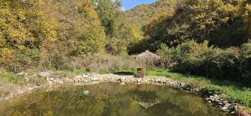 Un tranquilo estanque rodeado de frondosos árboles verdes y amarillos, que reflejan los colores del otoño. Junto al agua hay una pequeña cabaña de madera y un cobertizo con techo de paja.