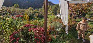 Un niño pequeño está de pie junto a un toldo blanco con cortinas ondeantes, rodeado de flores de vivos colores y vegetación en un jardín soleado y pintoresco, con las montañas al fondo.