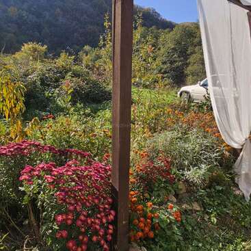 Un niño pequeño está de pie junto a un toldo blanco con cortinas ondeantes, rodeado de flores de vivos colores y vegetación en un jardín soleado y pintoresco, con las montañas al fondo.