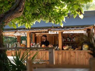 Un bar de madera al aire libre se alza bajo frondosos árboles verdes. El camarero prepara las bebidas, rodeado de botellas, fruta, bollería y cristalería, creando un ambiente relajante y acogedor.