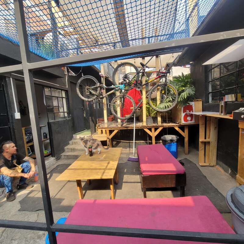 Une cour extérieure confortable avec des bancs roses, des tables en bois et des vélos accrochés au mur. Un chat est assis sur la table et un homme est assis à proximité.