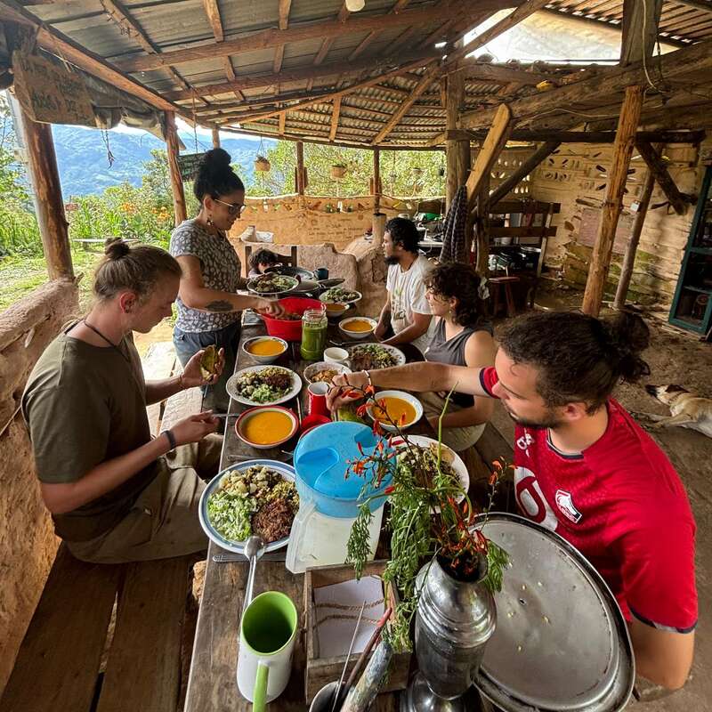Cinco personas comparten una comida en una mesa rústica al aire libre bajo un techo de madera, rodeados de naturaleza, con comida colorida y una conversación amistosa.