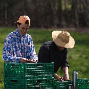 Deux hommes se tiennent derrière des caisses vertes dans un champ herbeux, l'un portant une chemise à carreaux et l'autre un chapeau de paille.