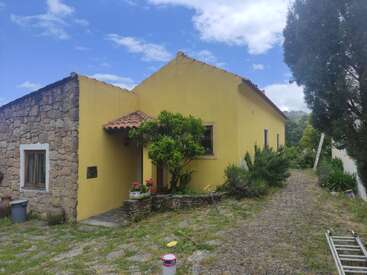 A charming yellow house with a stone facade, surrounded by greenery and potted plants. A cobblestone path leads to the entrance under a blue sky.