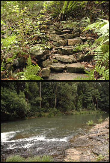 La imagen representa un entorno natural sereno, con una escalera de piedra en medio de una exuberante vegetación y una tranquila masa de agua con una pequeña cascada.