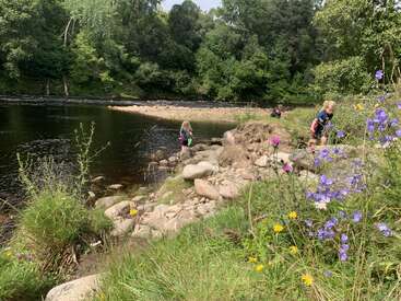 Three children explore a rocky riverbank surrounded by lush green trees and wildflowers. The calm river reflects nature’s tranquility, creating a peaceful outdoor adventure scene.