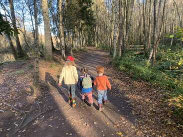 Three children walk hand-in-hand down a sunlit forest path surrounded by tall trees, fallen leaves, and dappled shadows, embracing adventure and friendship in nature.