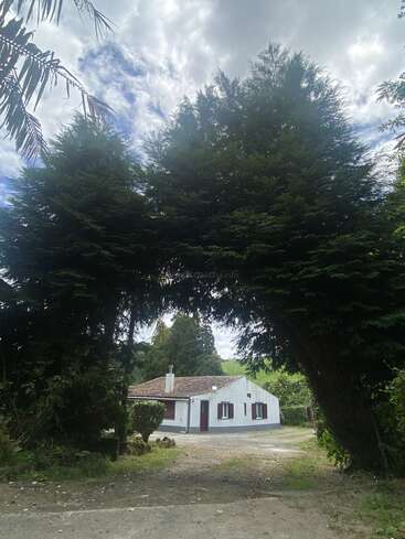 L'image représente une maison blanche au toit marron, située au milieu d'une végétation luxuriante et d'arbres, sur fond de ciel nuageux. Une allée de gravier mène à la maison.