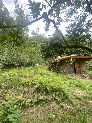 L'image représente un petit bâtiment de couleur terre avec un toit en pente, situé dans un jardin ou un verger luxuriant, entouré d'arbres et de verdure.