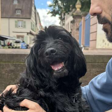 Un hombre con barba y jersey azul sostiene en brazos a un perro negro de pelo brillante, en el exterior de una encantadora ciudad europea.