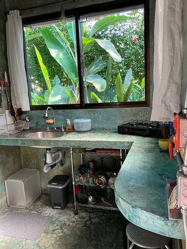 Esta acogedora cocina cuenta con encimeras verdes, una ventana con exuberantes plantas tropicales al exterior, una cocina de gas, un fregadero, estantes para guardar cosas, utensilios, cortinas y un cubo de basura.