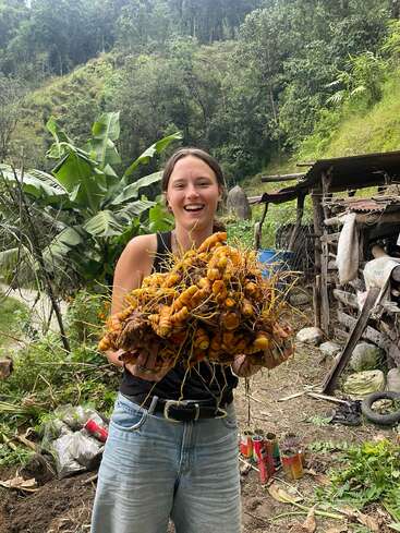 Une femme se tient dans un jardin, tenant un gros bouquet de racines de curcuma, avec une structure rustique en bois et de la verdure luxuriante en arrière-plan.