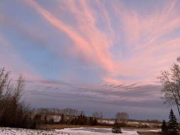 A serene winter landscape features snow-covered ground, bare trees, and a dramatic sky painted with pink and purple clouds, suggesting a calm and peaceful sunset.