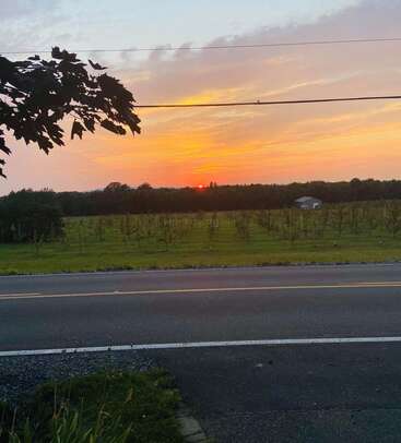 Un magnifique coucher de soleil teinte le ciel d'orange et de rose au-dessus d'un verger paisible, avec une route tranquille au premier plan et, au loin, des arbres et une petite remise.