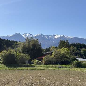 A peaceful rural scene with a small house surrounded by lush trees, green fields, and snow-capped mountains under a bright blue sky.