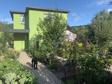 Ein hellgrünes Haus steht inmitten eines üppigen, lebendigen Gartens. Ein schattiger Weg führt zum Eingang, auf dem ein schwarzer Hund umherstreift.