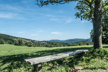 Das Bild zeigt eine ruhige Landschaft mit einer verwitterten Holzbank in einem üppigen Grasfeld, mit entfernten Bergen und Bäumen unter einem klaren blauen Himmel.