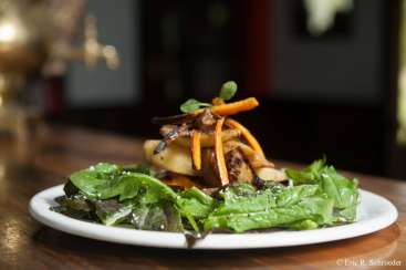Das Bild zeigt einen Salat auf einem weißen Teller mit gemischtem Grünzeug, gegrilltem Gemüse und einer braunen Soße vor einem unscharfen Hintergrund.