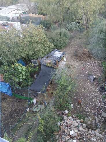 A messy backyard with scattered debris, dense greenery, a makeshift structure, garden tools, a chicken, a hose, fencing, and trees surrounding the area.