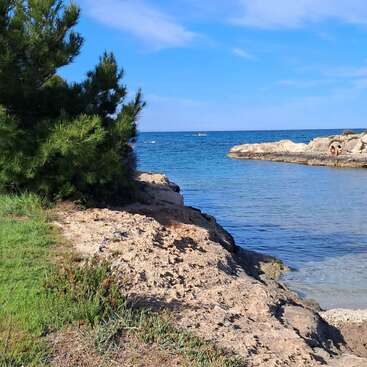Uma cena tranquila à beira-mar, com praias rochosas, mar azul cristalino, grama verde e pinheiros. Algumas pessoas estão relaxando perto da água, sob um céu azul.