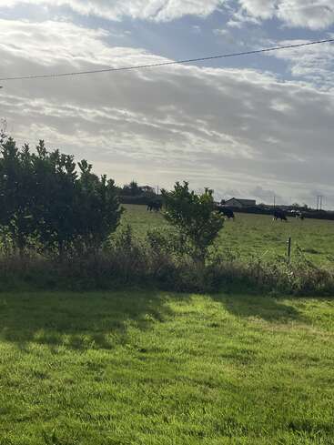 The image depicts a serene rural landscape featuring a lush green field with grazing cows, a distant house, and a cloudy sky, evoking a sense of peacefulness.