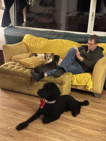 A man sits on a yellow couch reading. Two dogs cuddle beside him on the couch, while a black dog with a red bow lies on the floor.