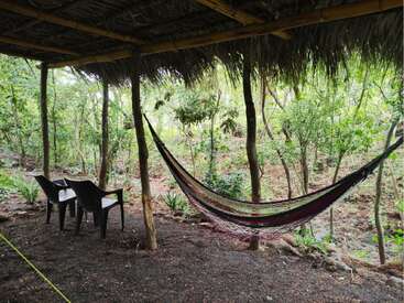 Une scène extérieure paisible présente un hamac et deux chaises en plastique sous un toit de chaume, entourés d'arbres verdoyants et d'une végétation forestière naturelle.