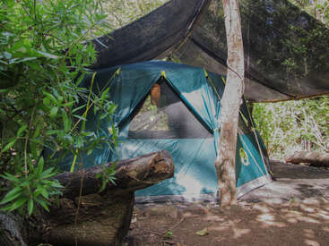 A green tent is set up in a forested area, shaded by tarps. Logs, leafy plants, and trees surround the campsite, creating a cozy, natural environment.