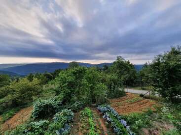 The image depicts a serene garden scene with lush greenery and vibrant plants, set against a backdrop of majestic mountains under a cloudy sky.