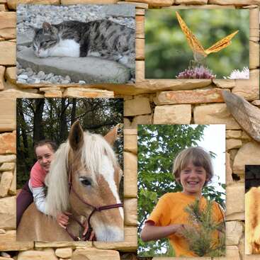 The image features a collage of photos on a stone wall background, showcasing a cat, butterfly, child, horse, goats, and a house, with a wooden sign reading \"LA BARC\" in the center.