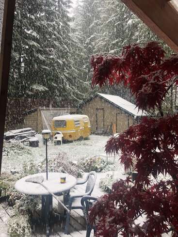 Heavy snow falls in a forested backyard with a yellow caravan, a shed, snow-covered furniture, and a bright red-leaved tree in the foreground.