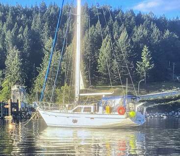 A white sailboat is anchored on calm water, surrounded by lush, green forest. The sunlight illuminates the scene, creating a peaceful, picturesque atmosphere.