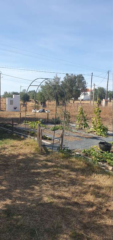 Un jardin rural avec des plantes vertes pousse à côté d'une arche métallique. De l'herbe sèche, des arbres, quelques bâtiments et des chèvres en train de paître sont visibles sous un ciel bleu clair.
