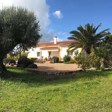 Une charmante maison blanche au toit rouge se dresse au milieu d'une végétation luxuriante, de palmiers et de buissons fleuris, sous un ciel d'un bleu éclatant parsemé de nuages blancs.