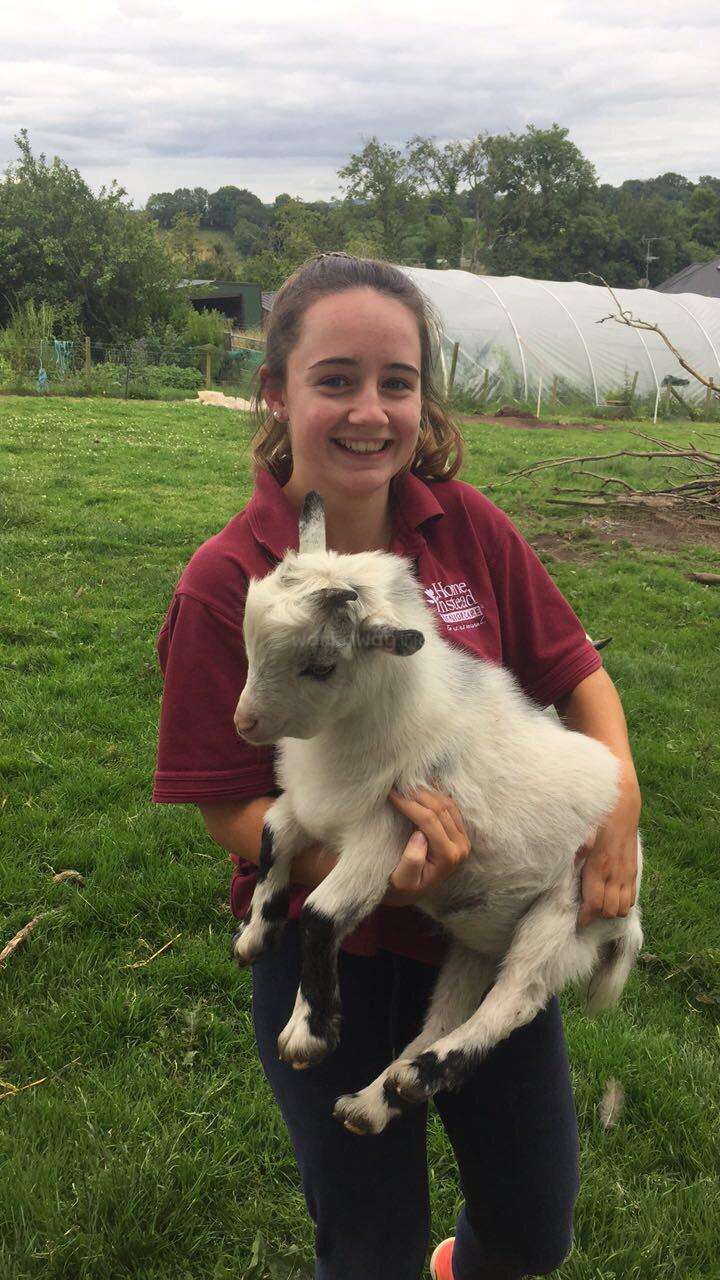 Eine junge Frau in einem roten Hemd hält eine weiße Ziege mit schwarzen Markierungen an den Beinen und Ohren, die auf einer grasbewachsenen Wiese steht.